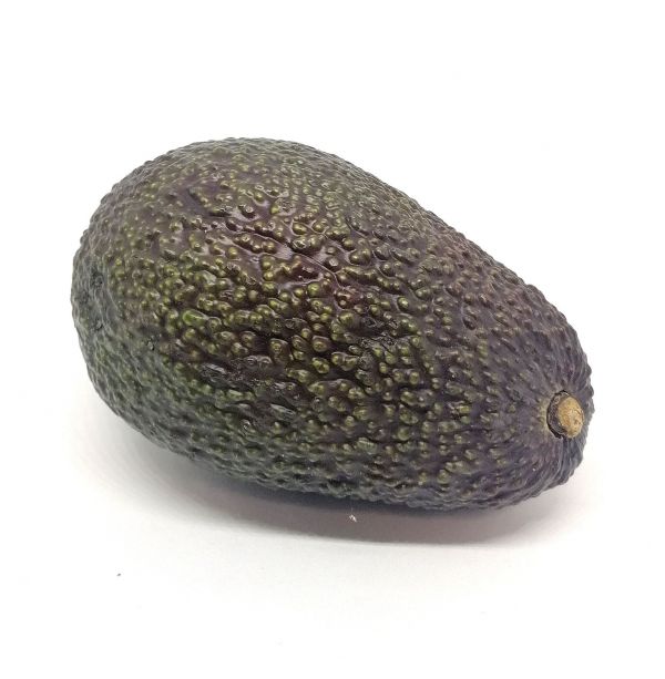 Avocat Haas BIO*Espagne