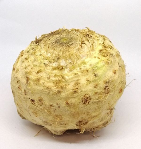 Céleri Rave BIO*Cotentin. 3,90€/kg