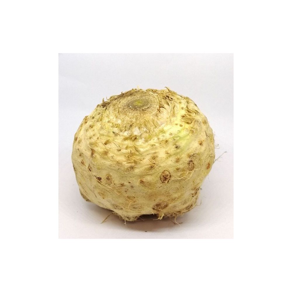 Céleri Rave BIO*Cotentin. 3,90€/kg