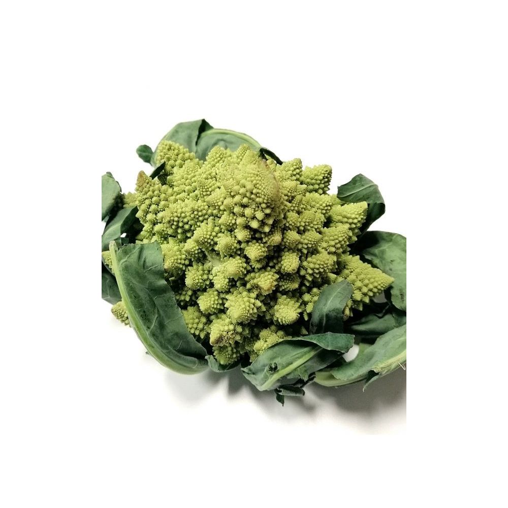 Chou Romanesco BIO Cotentin