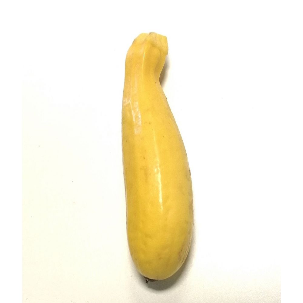 Courgettes Jaunes BIO* France. 4.50€/kg