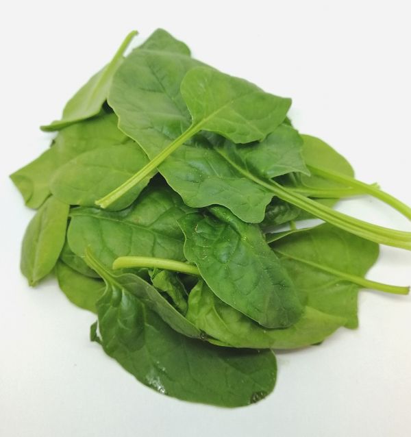 Epinards jeunes pousses BIO* France. 13,90€/kg