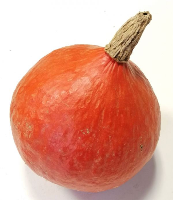 Courge Potimarron BIO* Cotentin. 4,40€/kg