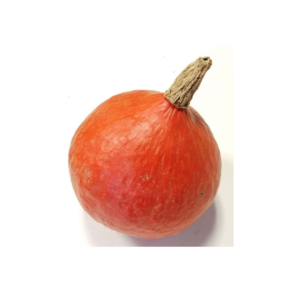 Courge Potimarron BIO* Cotentin. 4,40€/kg