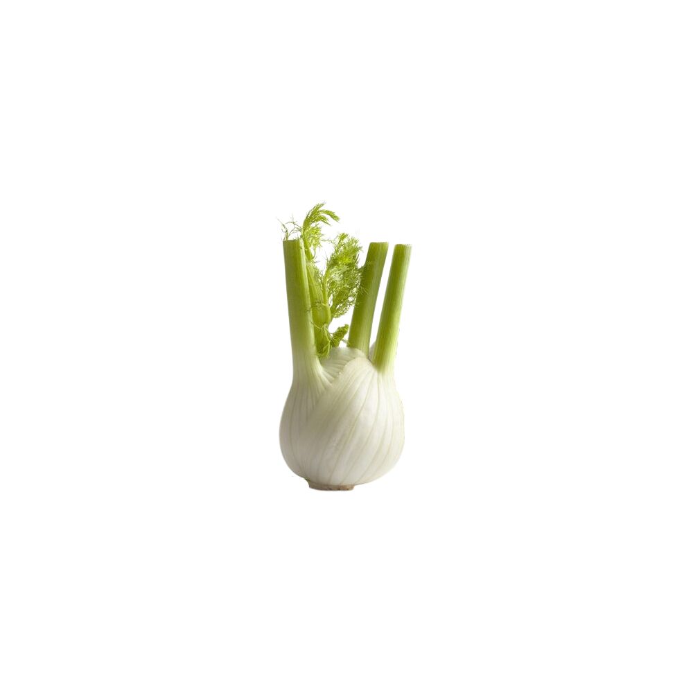 Fenouil BIO*Cotentin. 6,95 €/kg