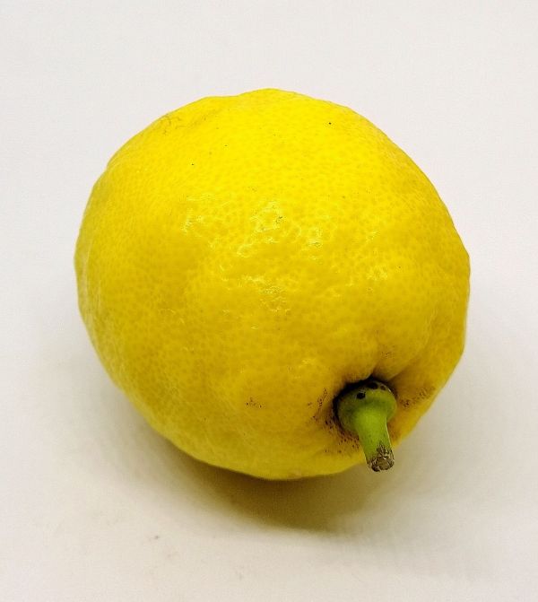 Citrons Jaunes BIO* Italie. 3,90€/kg
