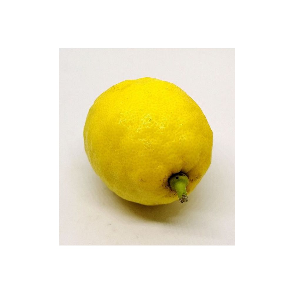 Citrons Jaunes BIO* Italie. 3,90€/kg
