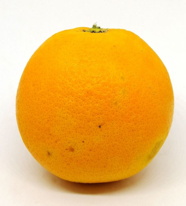 Orange BIO* Espagne. 2,90€/kg