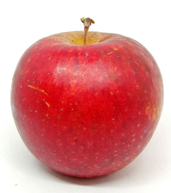 La Rougelle, pommes Bio (sac de 4kg) - Fruits et Légumes - Les coteaux de  Boutau