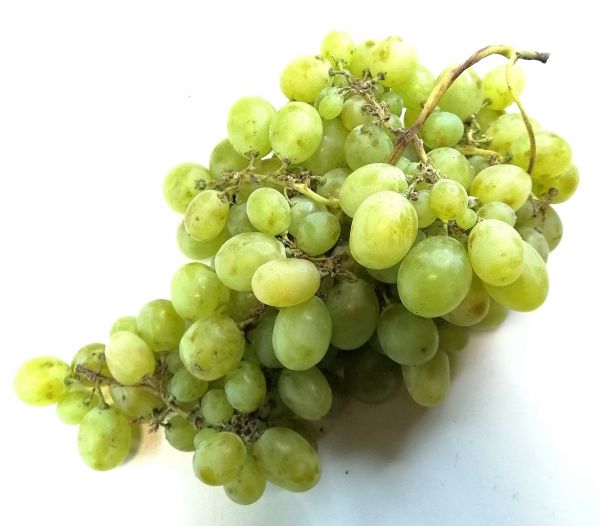 Raisin Blanc BIO* Italie . 8,50 €/kg