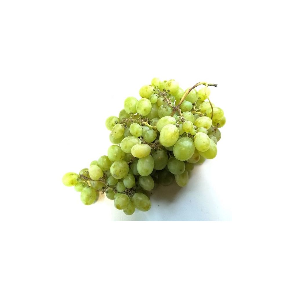 Raisin Blanc BIO* Italie . 8,50 €/kg