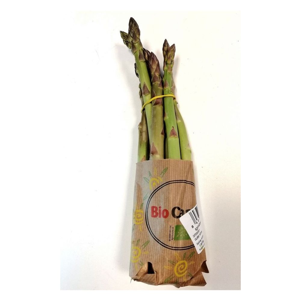 Asperges vertes BIO* Cotentin. (botte 500g)