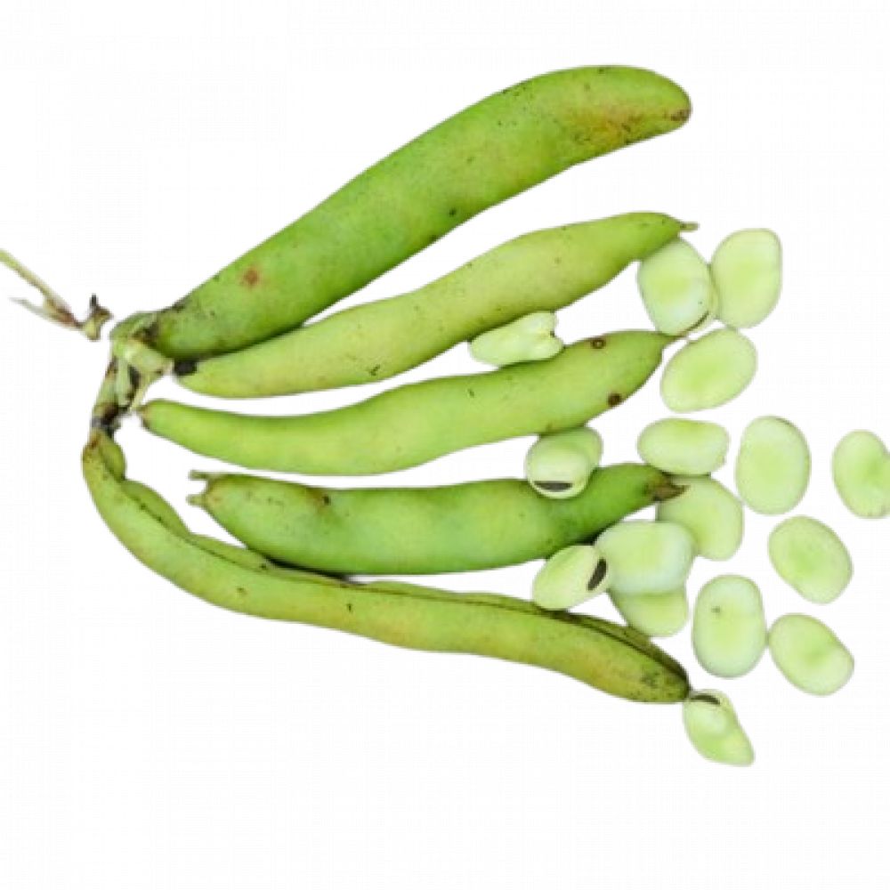 Fèves BIO* Cotentin. 8,90€/kg