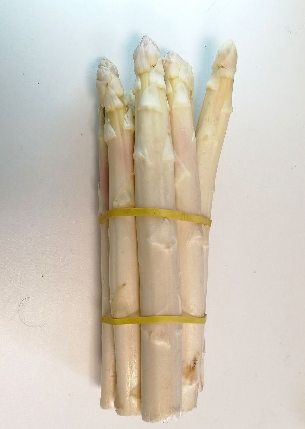 Asperges blanches BIO*Cotentin, botte 250g