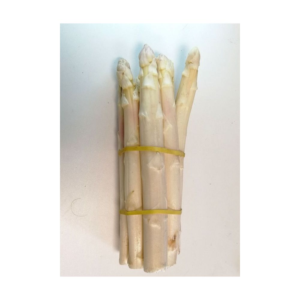 Asperges blanches BIO*Cotentin, botte 250g