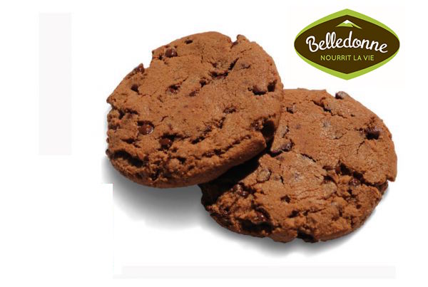 Cookies Tout Chocolat BIO