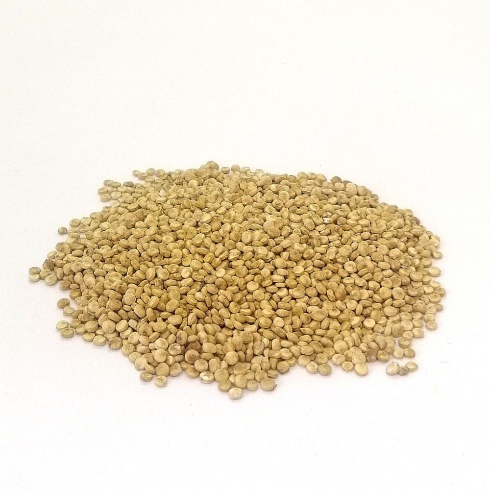 Quinoa blanc BIO*normand. 11,50€/kg