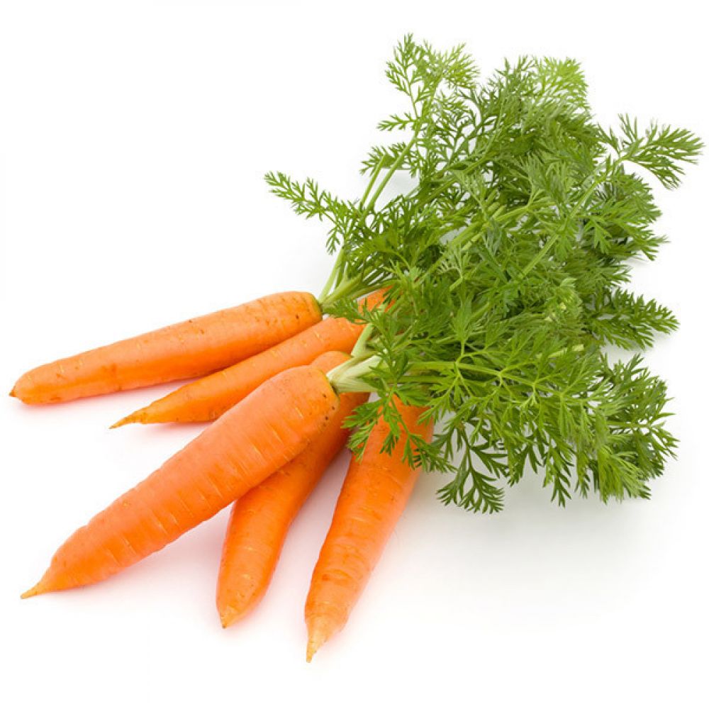 Carottes primeurs botte BIO* Cotentin