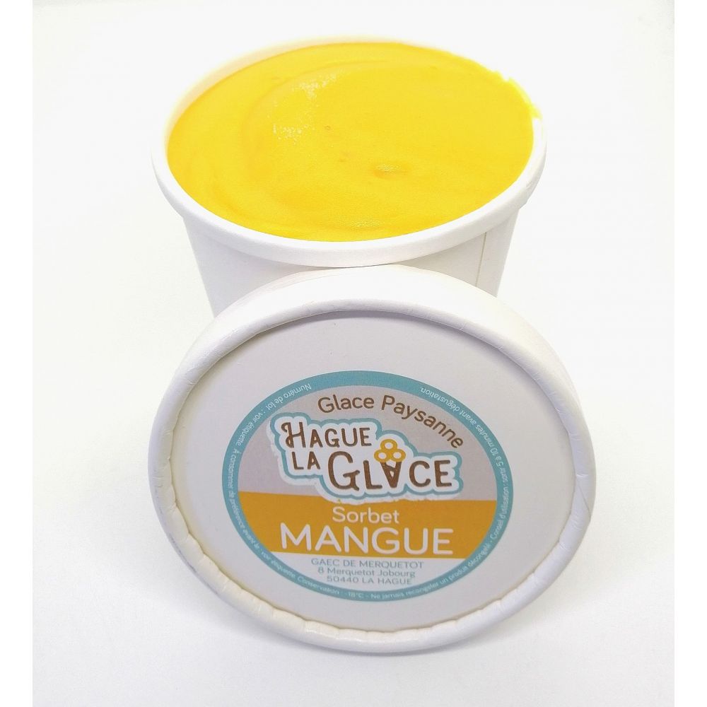 Glace mangue 480ml