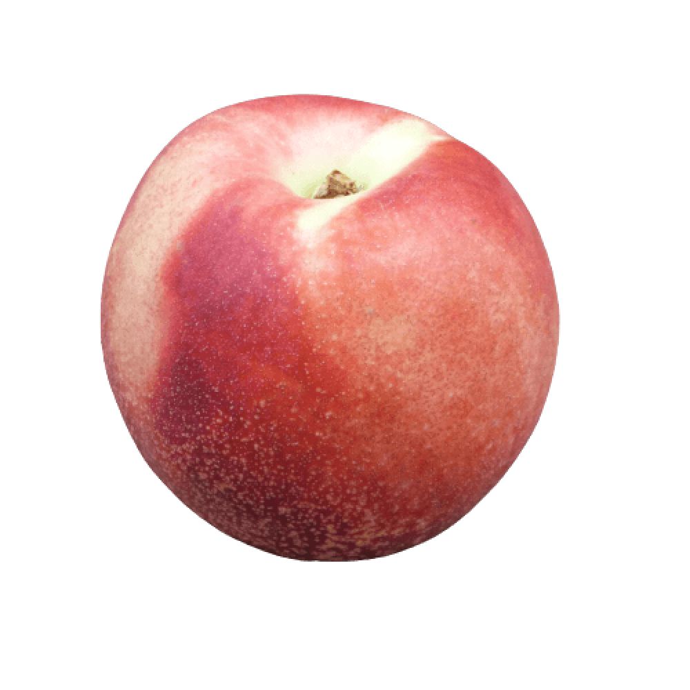 Nectarines blanches BIO* France.11,50 €/kg