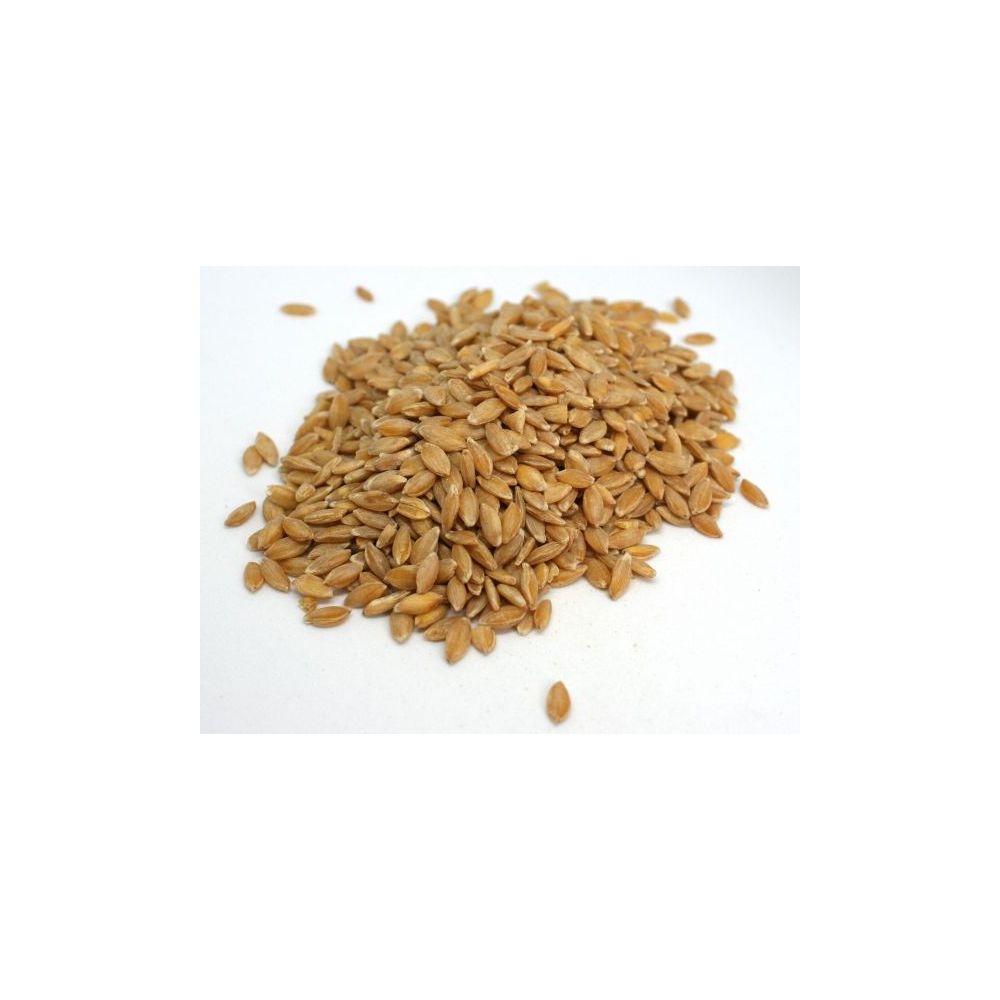 Petit épeautre BIO. 5,50€/kg