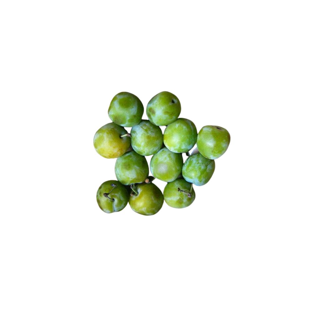 Prunes Reine Claude BIO*France. 8,95€/kg