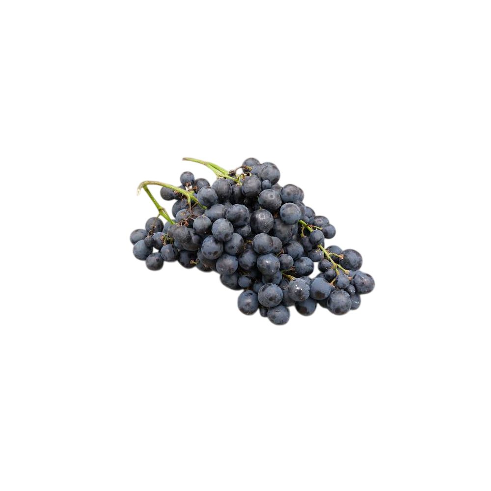Raisin noir BIO. 8,90€/kg