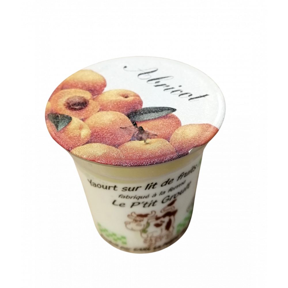 Yaourt Coulis abricot BIO
