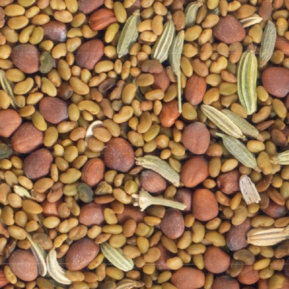 Graines à germer alfalfa-cresson-chou rouge BIO 150g