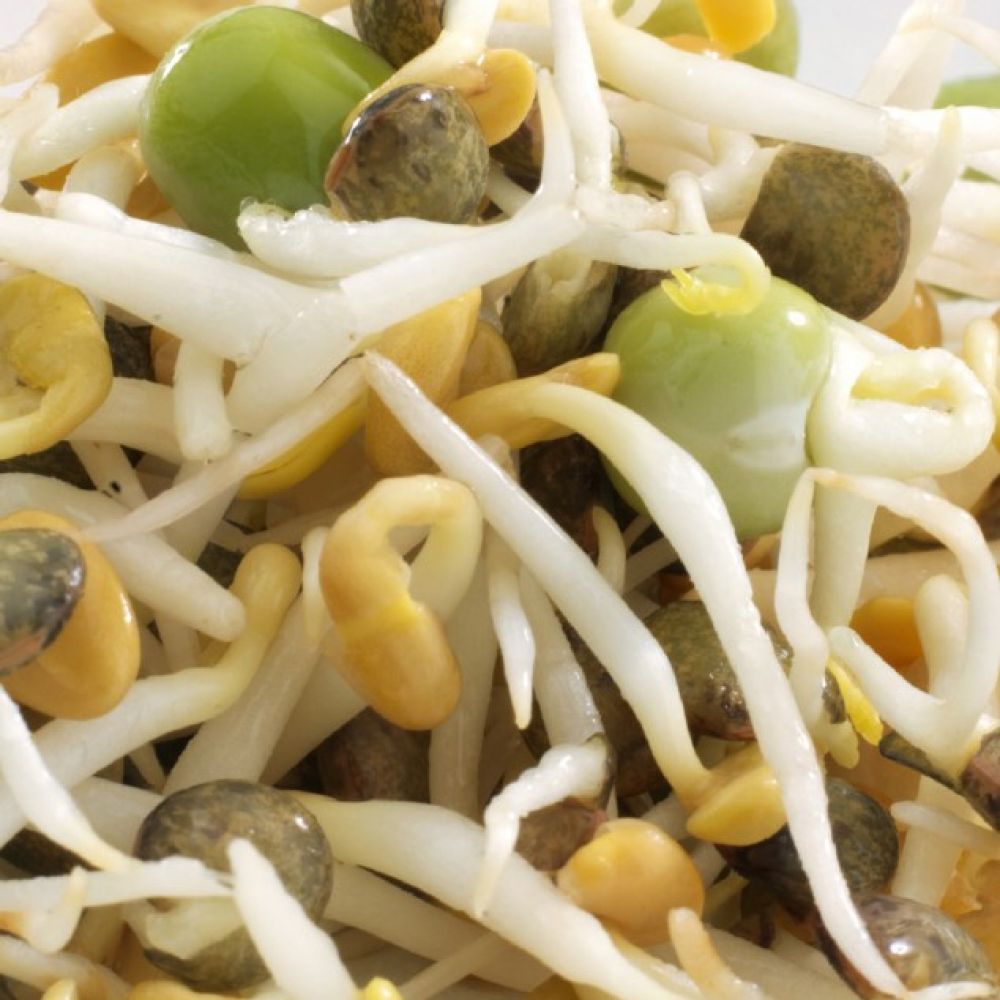 Graines à germer mix protéines BIO 200g