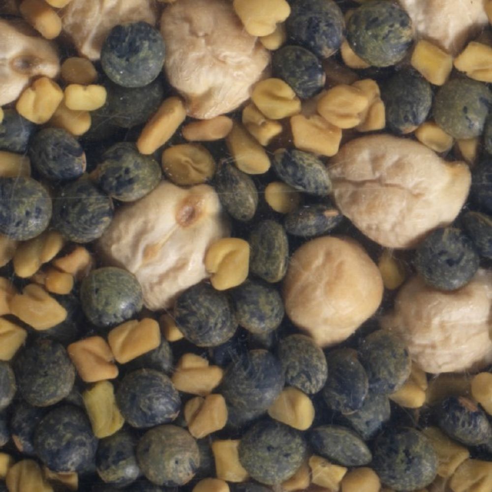 Graines à germer mix protéines BIO 200g