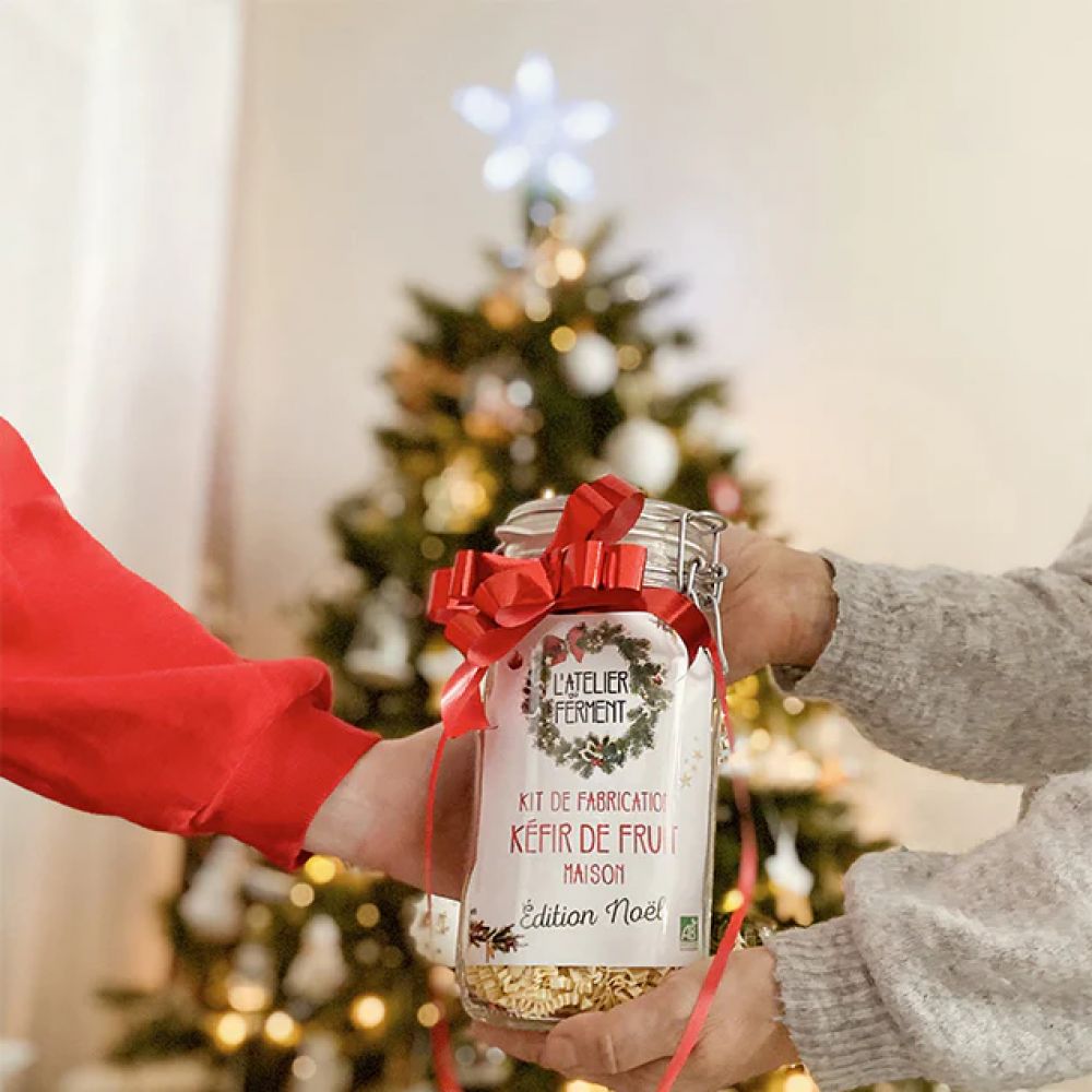 Kit fabrication kefir