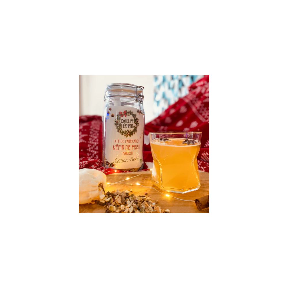 Kit fabrication kefir