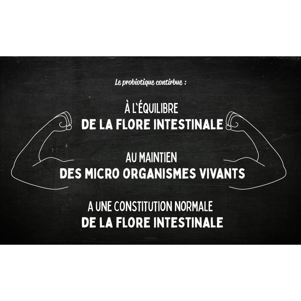 Probiotiques BIO 90 comprimés à croquer