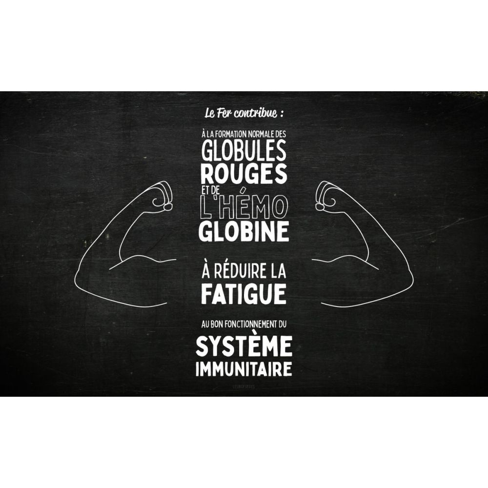 Fer BIO 90 comprimés à croquer