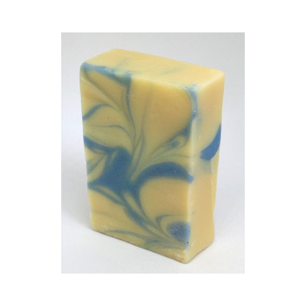 Savon Harmony Marin 100g tous types de peaux