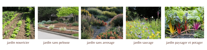 exemples de jardins éco responsables