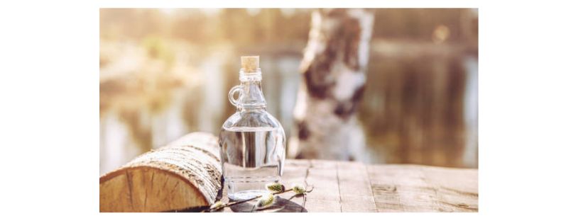 la seve de bouleau naturelle et bio
