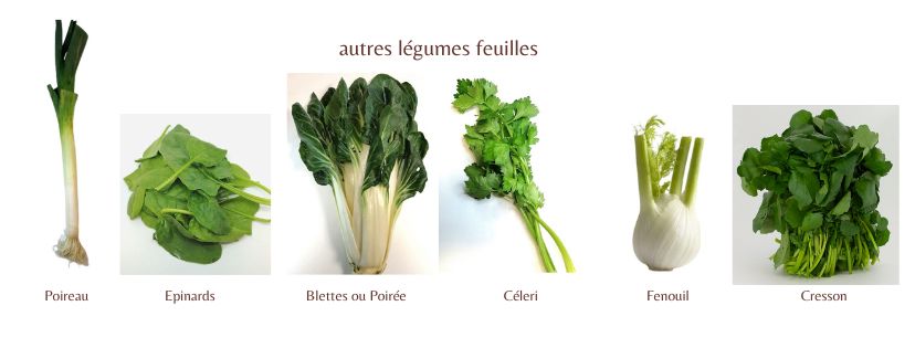 les légumes feuilles autres que salades et choux