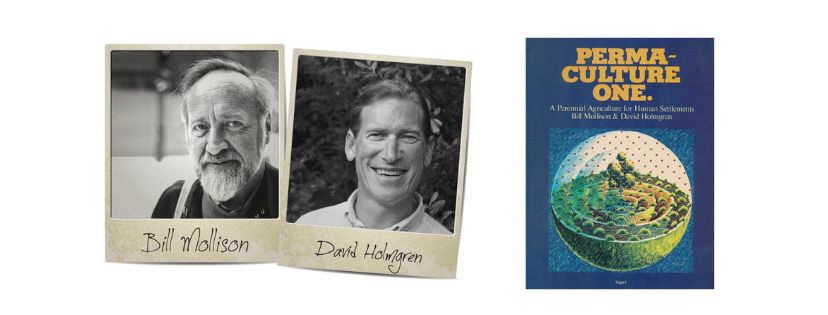 Livre Permaculture One 